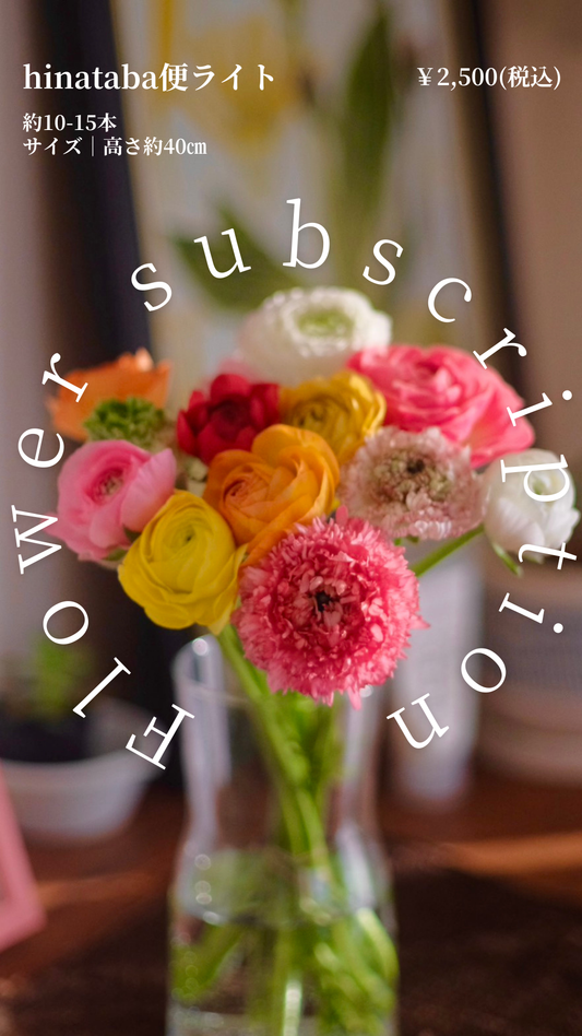 hinataba便ライト【定期でお届け】