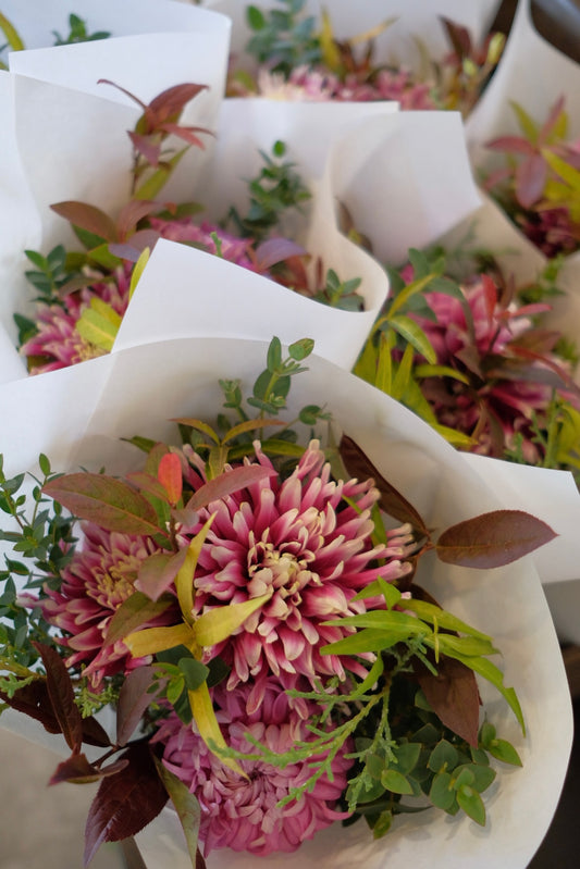 hinataba便ライト【定期でお届け】