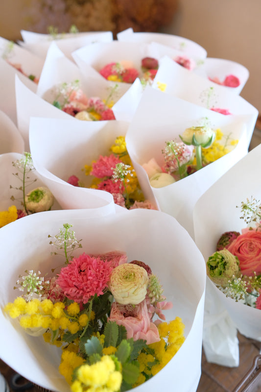 hinataba便ライト【定期でお届け】